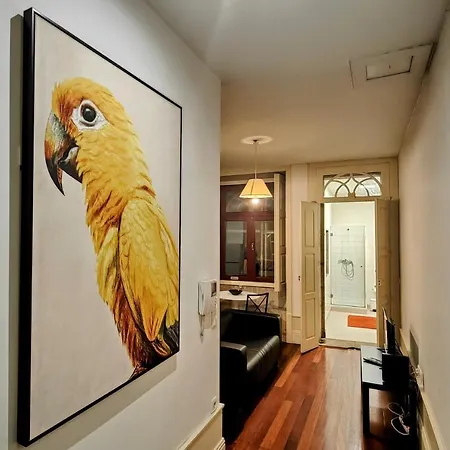 Apartman Discovery | Porto-flores Porto