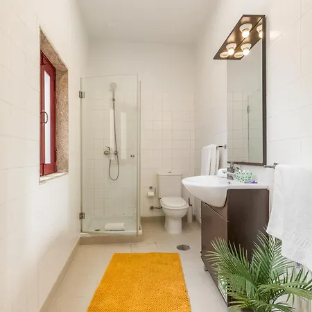 Discovery | Porto-flores *