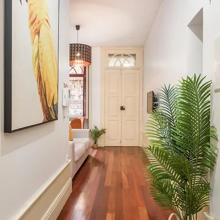 Discovery | Porto-flores Porto