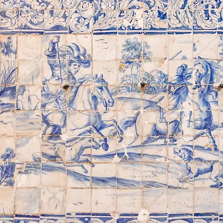 Discovery | Porto-flores Daire