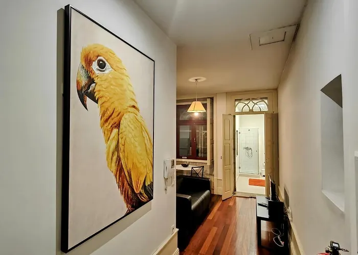 Apartamento Discovery | Porto-flores Porto