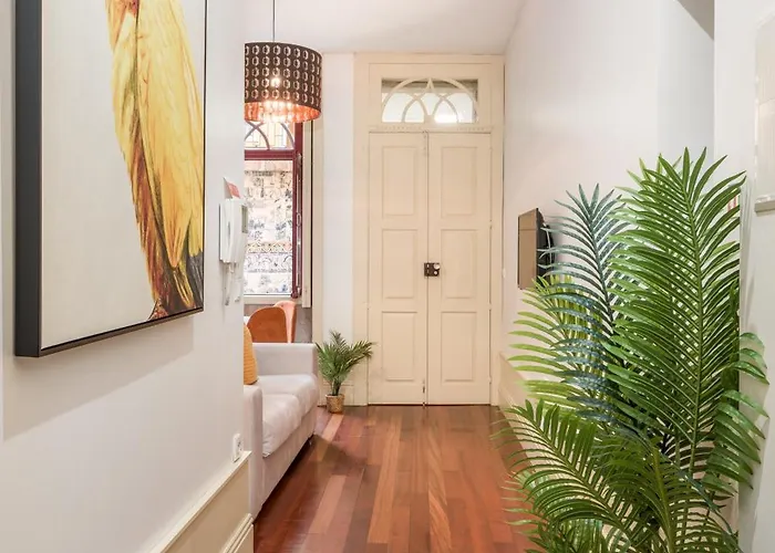 Discovery | Porto-flores Porto